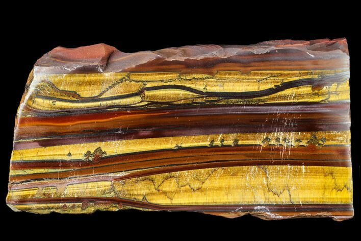 Polished Tiger's Iron Slab - South Africa #113013